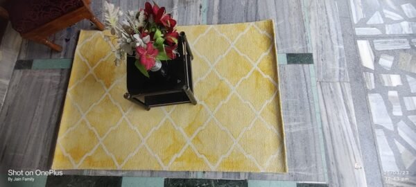 7777-1.jpg Hand Tufted Rugs (Blended Wool) 4*6 in Size