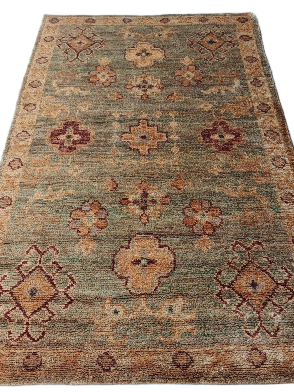 RVC-187_ (2) Tanirika Sage Floral Hand-Knotted Jute Rug
