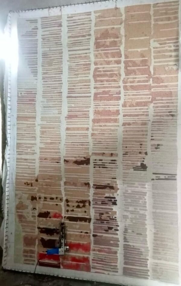 IMG-20240826-WA0002 HAND TUFTED