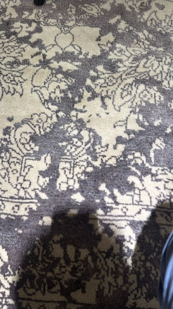 Ashloom Fade Hand-Knotted Rug