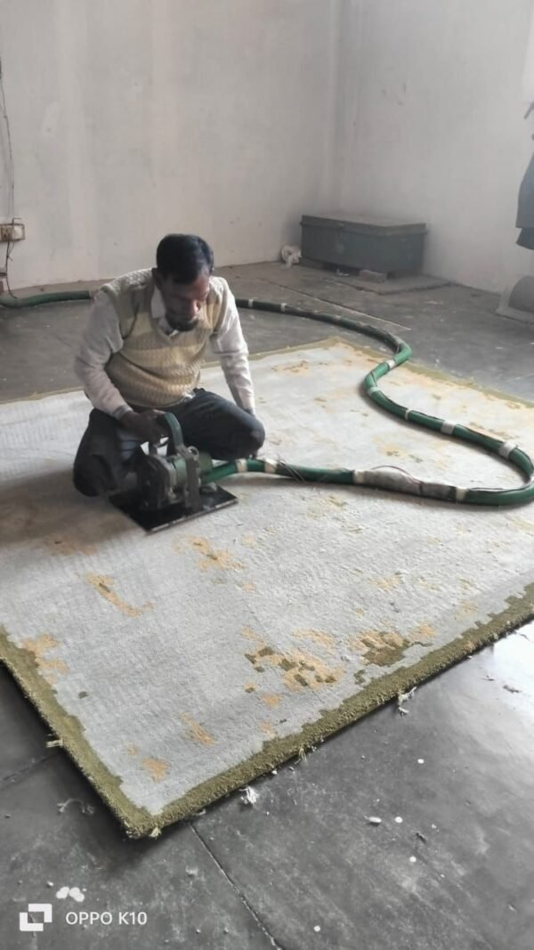 IMG-20240210-WA0016 HAND TUFTED