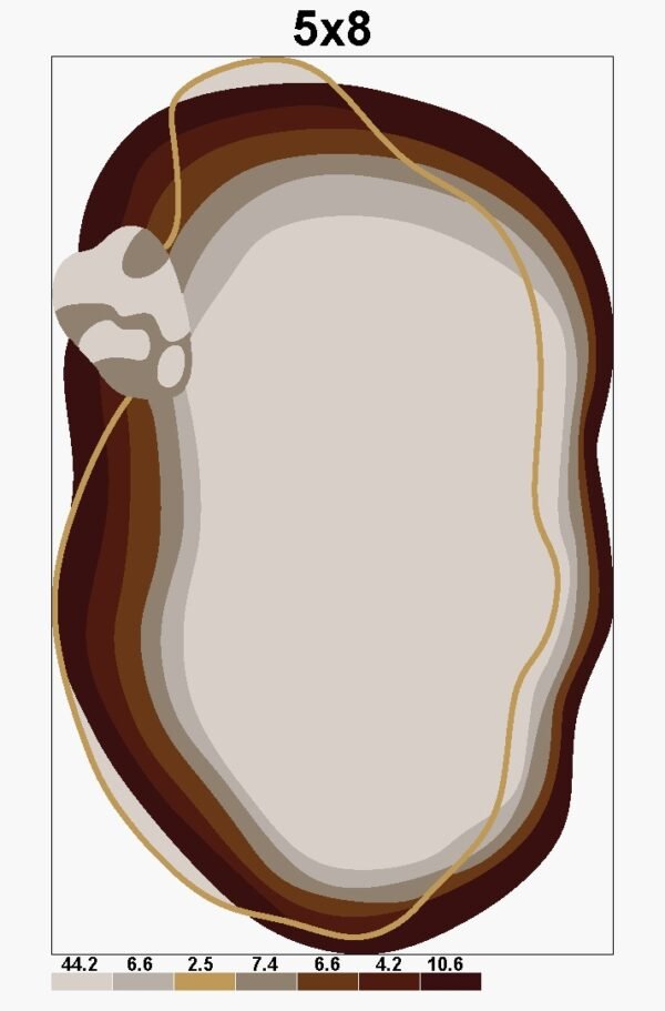 IMG-20240917-WA0026(1) HAND TUFTED