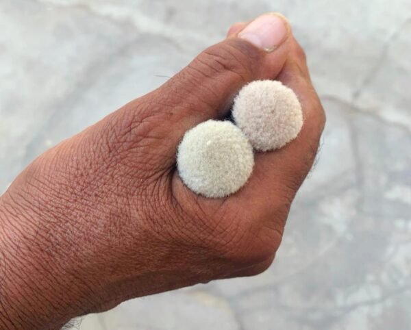 IMG_20221107_141107 HAND TUFTED