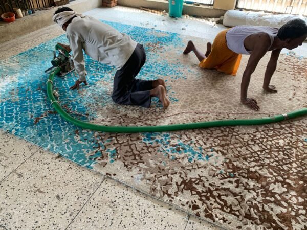 WhatsApp Image 2026-02-04 at 11.29.46 HAND TUFTED